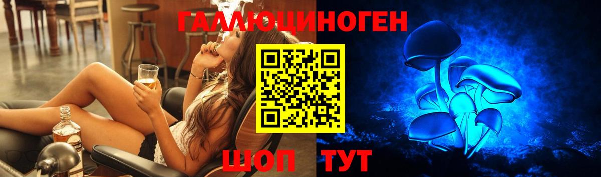 Псилоцибиновые грибы Magic Shrooms  Вход с VPN  где найти наркотики  Михайловск 